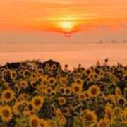 ヒメ日記 2025/08/22 18:46 投稿 まひろ 五反田・品川おかあさん