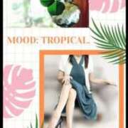 ヒメ日記 2025/09/02 18:33 投稿 まひろ 五反田・品川おかあさん