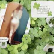 ヒメ日記 2025/09/08 09:23 投稿 まひろ 五反田・品川おかあさん