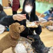 ヒメ日記 2026/04/18 20:36 投稿 あんり【超カワJDは未経験】 STELLA NEXT－ステラネクスト－