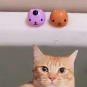 ヒメ日記 2025/07/08 19:54 投稿 あいす【癒しの爆乳超敏感娘】 STELLA TOKYO－ステラトウキョウ－