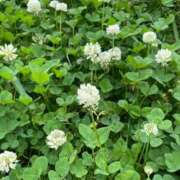 ヒメ日記 2025/07/10 09:03 投稿 笹原　もえ NADIA京都店