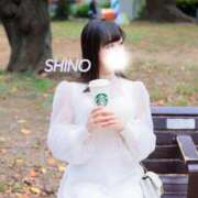 ヒメ日記 2025/08/01 16:25 投稿 シノ ソープランド マックス