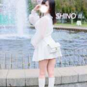 ヒメ日記 2025/08/08 22:28 投稿 シノ ソープランド マックス