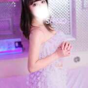 ヒメ日記 2025/08/15 12:10 投稿 シノ ソープランド マックス