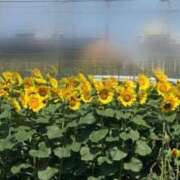 ヒメ日記 2025/08/20 00:48 投稿 シノ ソープランド マックス