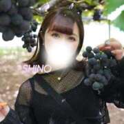 ヒメ日記 2025/09/07 15:43 投稿 シノ ソープランド マックス