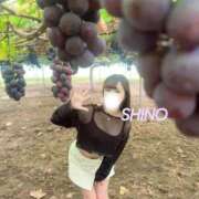 ヒメ日記 2025/09/09 17:08 投稿 シノ ソープランド マックス