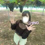 ヒメ日記 2025/09/23 16:18 投稿 シノ ソープランド マックス