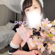 ヒメ日記 2025/09/29 09:20 投稿 シノ ソープランド マックス