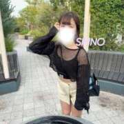 ヒメ日記 2025/10/25 15:21 投稿 シノ ソープランド マックス