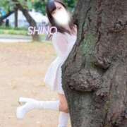 ヒメ日記 2025/11/03 11:16 投稿 シノ ソープランド マックス