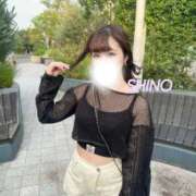 ヒメ日記 2025/11/03 15:18 投稿 シノ ソープランド マックス