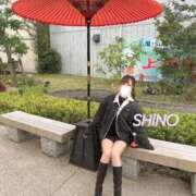 ヒメ日記 2025/11/07 11:08 投稿 シノ ソープランド マックス