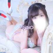 ヒメ日記 2025/11/24 11:18 投稿 シノ ソープランド マックス