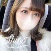 シノ 🙇🏻‍♀️🙇🏻‍♀️🙇🏻‍♀️ ソープランド マックス