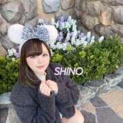 シノ 納めませんか？？🩷 ソープランド マックス