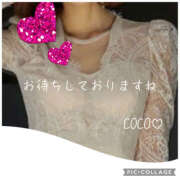 ヒメ日記 2026/02/07 11:52 投稿 ここ 奥鉄オクテツ東京店（デリヘル市場）