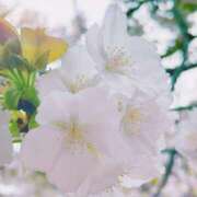 ヒメ日記 2026/04/06 13:06 投稿 ラン御主人様 mSS 僕と2人の御主人様達。