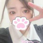 ヒメ日記 2025/08/15 01:21 投稿 みと（みと）ＡＧジャングル AROMA JUNGLE（アロマジャングル）エースグループ