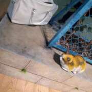 くるみ なんとかお店着きました🐿💛 Second Love（セカンドラブ）