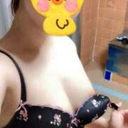 ヒメ日記 2025/08/26 14:16 投稿 りん リッチドールフェミニン