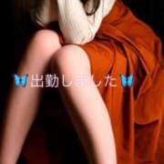 ヒメ日記 2025/08/18 08:44 投稿 美空(みそら) 恋する人妻