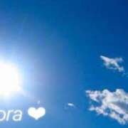 ヒメ日記 2025/09/06 07:51 投稿 美空(みそら) 恋する人妻