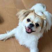 ヒメ日記 2025/09/04 16:46 投稿 まなか 神田エマニエル