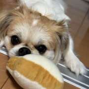 ヒメ日記 2025/09/11 20:28 投稿 まなか 神田エマニエル