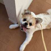 ヒメ日記 2025/09/18 16:57 投稿 まなか 神田エマニエル