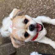 ヒメ日記 2025/09/24 15:50 投稿 まなか 神田エマニエル