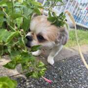 ヒメ日記 2025/10/02 16:50 投稿 まなか 神田エマニエル