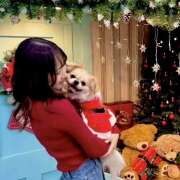 ヒメ日記 2025/12/24 16:55 投稿 まなか 神田エマニエル