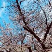 ヒメ日記 2026/04/26 17:11 投稿 香坂　翼 30・40・50代☆人妻熟女コレクション