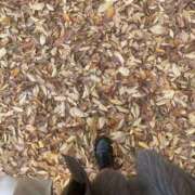 いのり あと18:10-の1枠！ One More奥様　町田相模原店