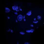 ヒメ日記 2025/08/06 17:12 投稿 紗樹(さき) 人妻城 横浜本店