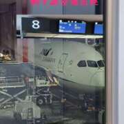 さや 【新千歳空港出発】 千葉人妻花壇