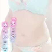 ヒメ日記 2025/12/12 10:04 投稿 さや 千葉人妻花壇