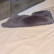 ヒメ日記 2026/01/25 11:40 投稿 あす クンニ専門店 おクンニ学園 池袋校