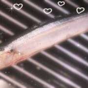 ヒメ日記 2026/01/31 11:17 投稿 あす クンニ専門店 おクンニ学園 池袋校