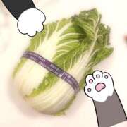 ヒメ日記 2026/02/09 12:35 投稿 あす クンニ専門店 おクンニ学園 池袋校