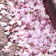 ヒメ日記 2026/04/01 11:28 投稿 あす クンニ専門店 おクンニ学園 池袋校