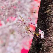 ヒメ日記 2026/04/10 22:39 投稿 あす クンニ専門店 おクンニ学園 池袋校