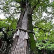 ヒメ日記 2025/07/11 16:50 投稿 野呂みさき 大人のエッチなエステ