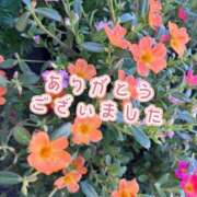 ヒメ日記 2025/07/29 10:18 投稿 野呂みさき 大人のエッチなエステ