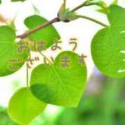 ヒメ日記 2025/08/15 09:55 投稿 野呂みさき 大人のエッチなエステ