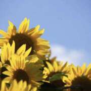 ヒメ日記 2025/07/09 16:28 投稿 三井 翼 こあくまな熟女たち豊橋店（KOAKUMAグループ）