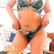 ヒメ日記 2025/11/17 09:30 投稿 沙耶香（さやか） 東金人妻花壇