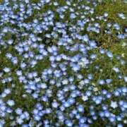 ヒメ日記 2025/07/20 20:23 投稿 まあや Club Paradise（クラブパラダイス）